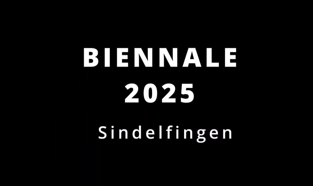 Biennale Sindelfingen 2025 Aftermovie - Sim TV – Kinderfilmakademie e.V.